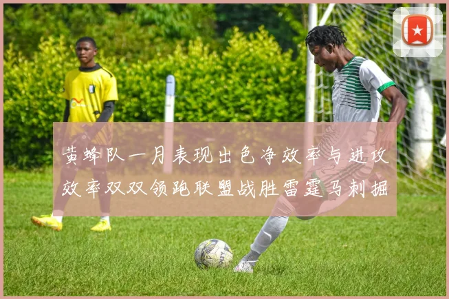 黄蜂队一月表现出色净效率与进攻效率双双领跑联盟战胜雷霆马刺掘金