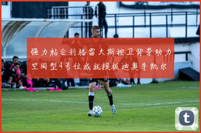强力粘合剂格雷夫斯控卫背景助力空间型4号位成就模板迪奥李凯尔